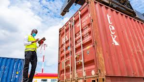 Zayne customs clearance at the port